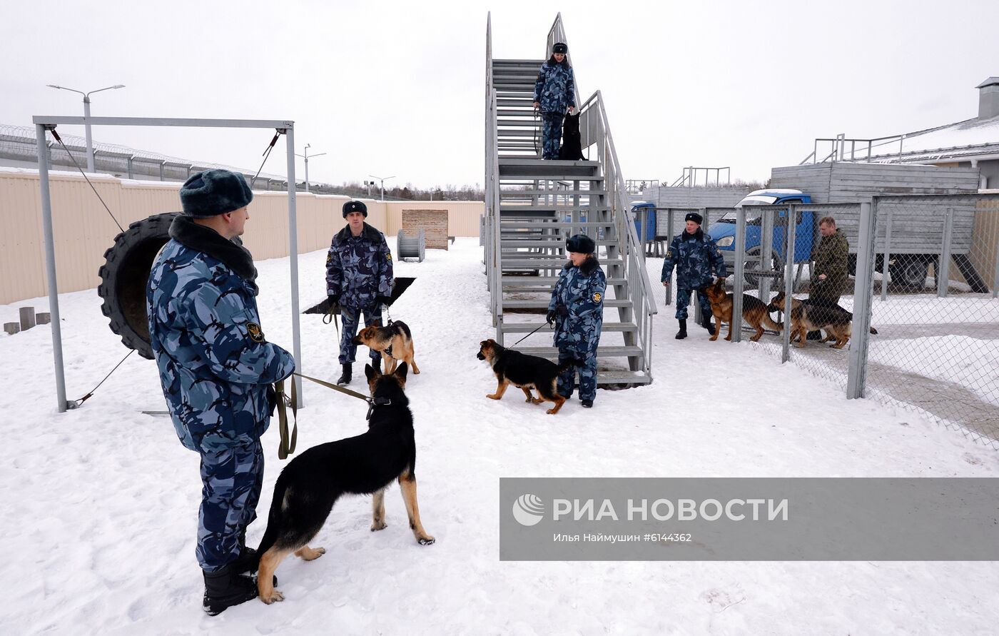 Питомник собак ФСИН в Сосновоборске