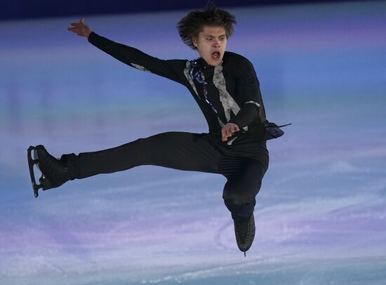 Фигурное катание. Чемпионат Европы. Показательные выступления