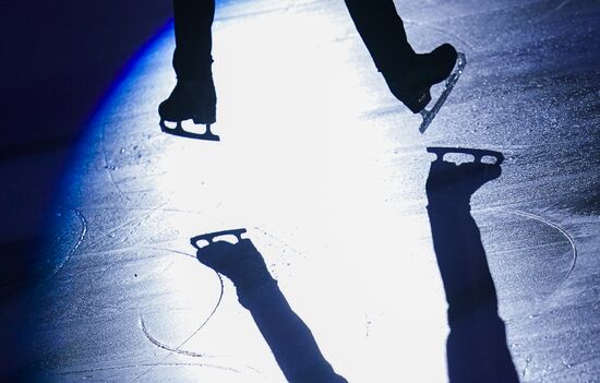 Фигурное катание. Чемпионат Европы. Показательные выступления