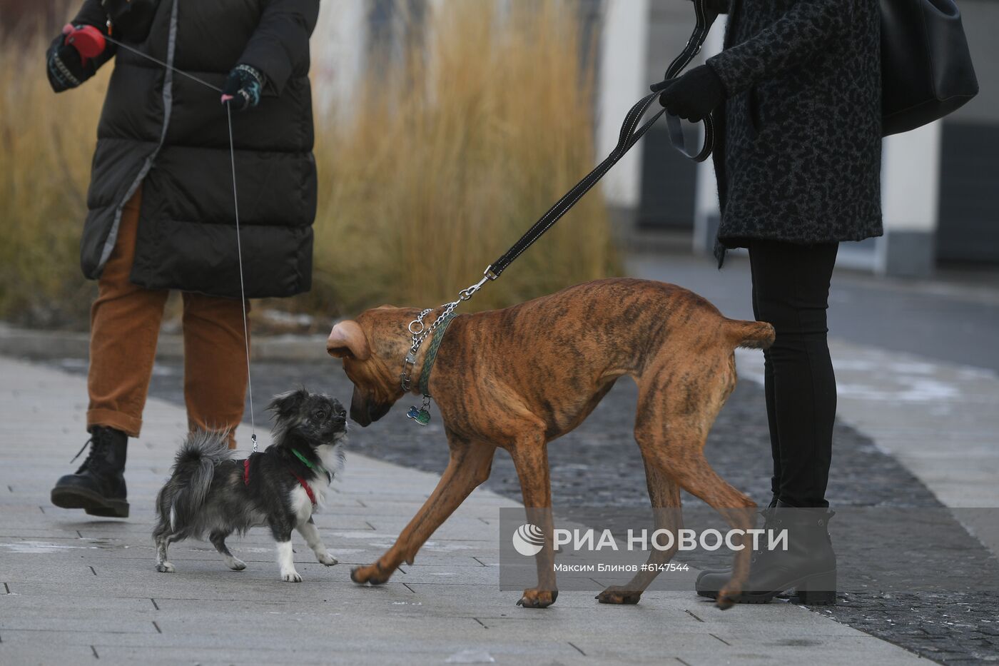 Повседневная жизнь в Москве