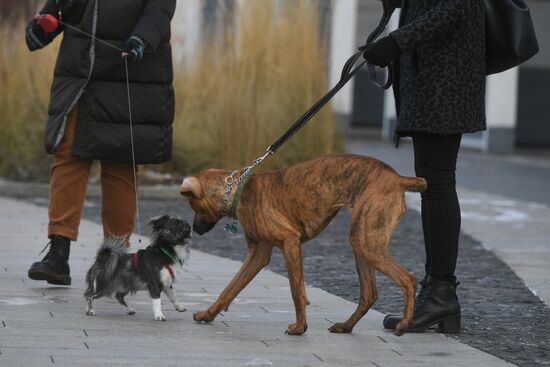 Повседневная жизнь в Москве