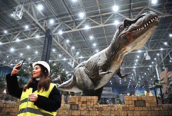 Строительство парка "Остров мечты"