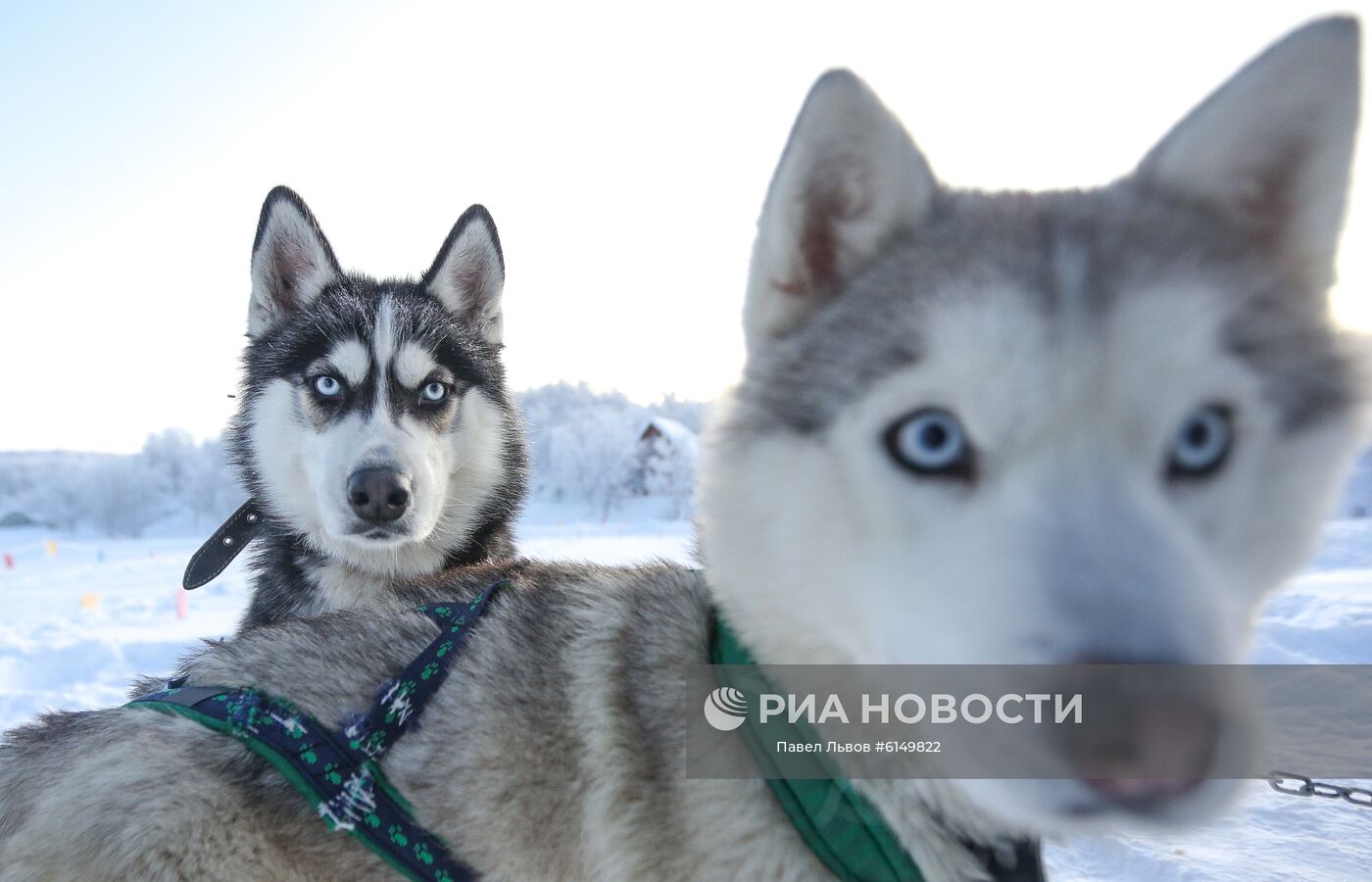 Туристы из Китая в парке "Северное сияние" в Мурманской области