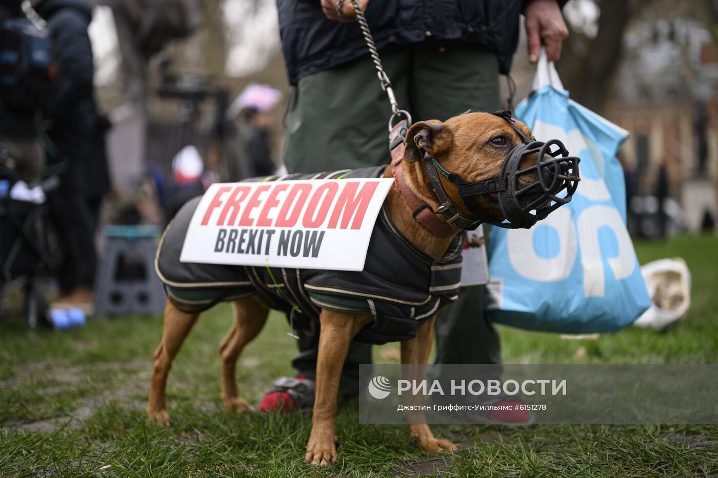 В ночь на 1 февраля 2020 года Великобритания выйдет из ЕС