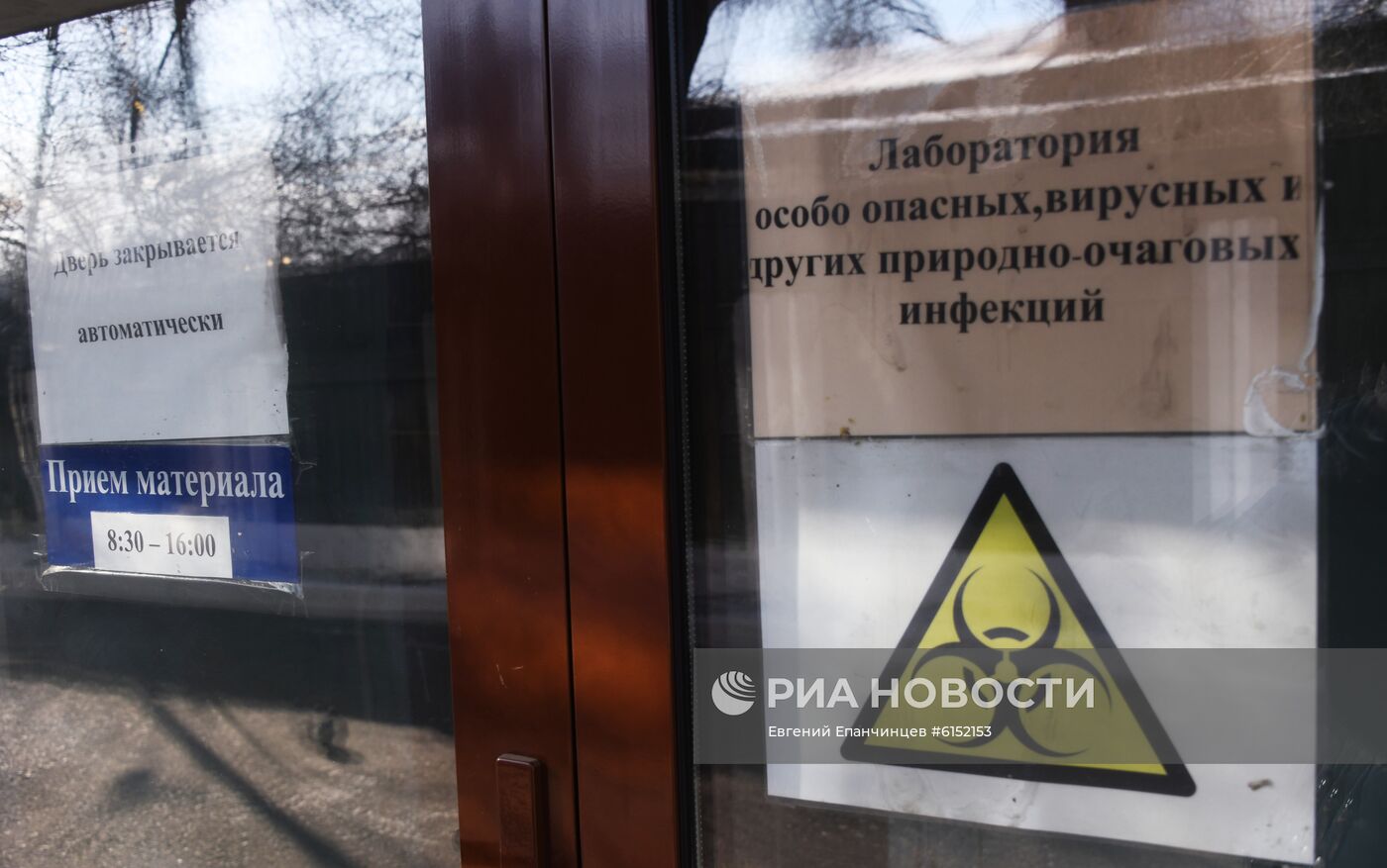 В Забайкалье поступила тест-система для определения антигена коронавируса