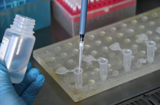 В Забайкалье поступила тест-система для определения антигена коронавируса