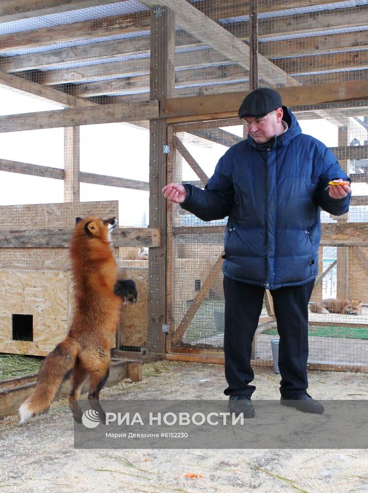 "Дом русской лисы" в Подмосковье