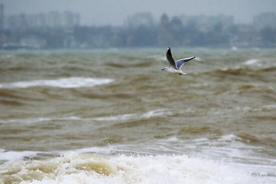 Шторм в Евпатории