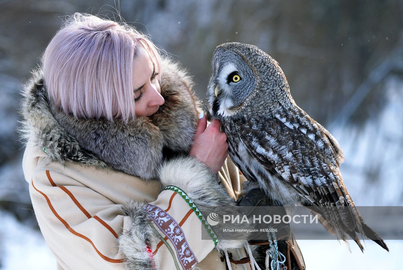 Совы в парке "Роев ручей" 