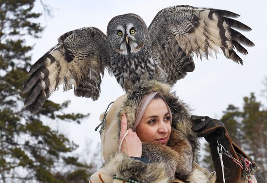 Совы в парке "Роев ручей" 