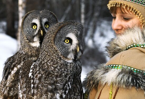 Совы в парке "Роев ручей" 