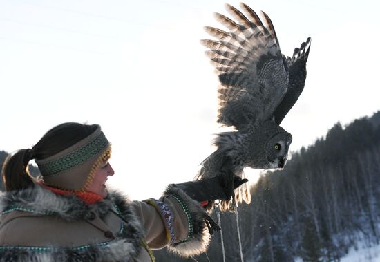 Совы в парке "Роев ручей" 