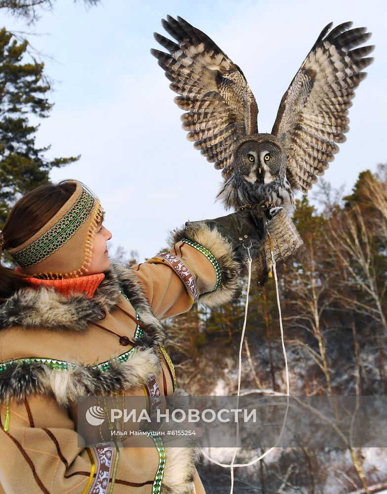 Совы в парке "Роев ручей" 