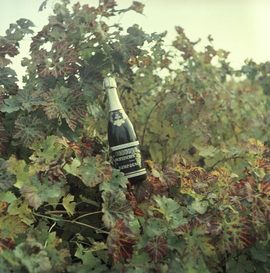 Винодельческий совхоз "Абрау-Дюрсо"