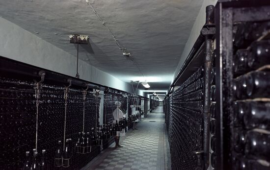 Винодельческий совхоз "Абрау-Дюрсо"