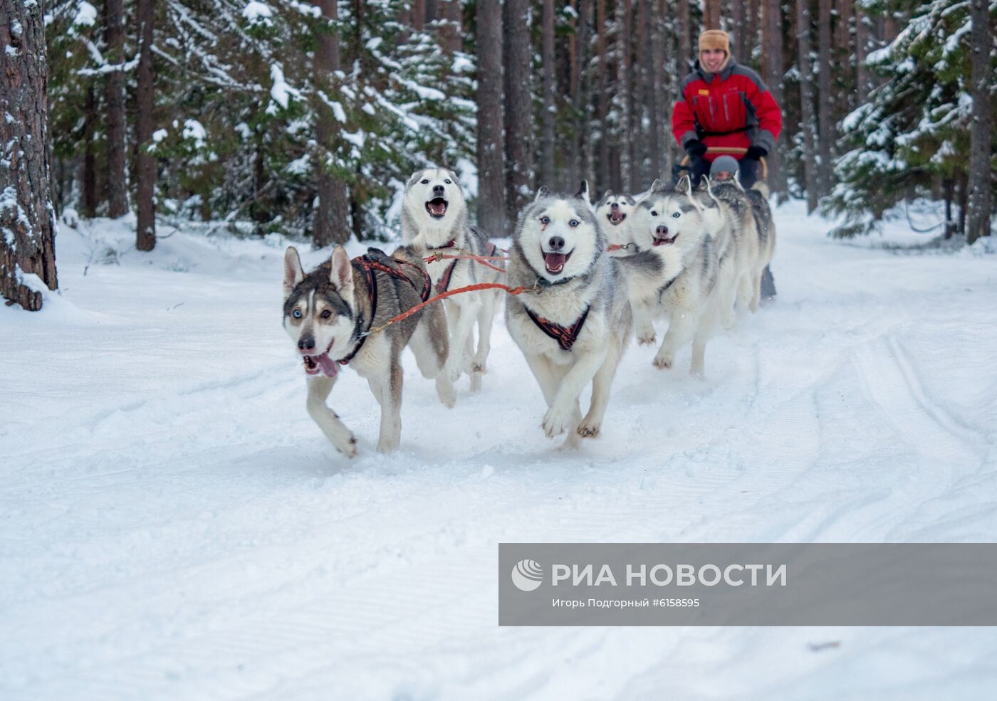 Зимний отдых в Карелии