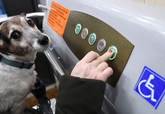 Платформы для маломобильных граждан в жилом доме