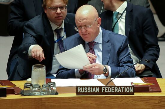 Заседание Совета безопасности ООН