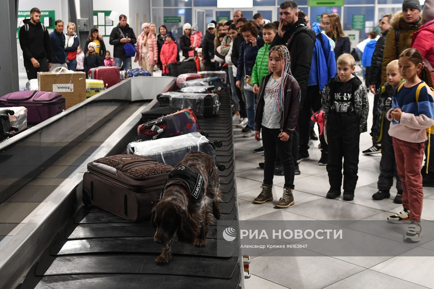 Таможенный досмотр пассажиров в Толмачево