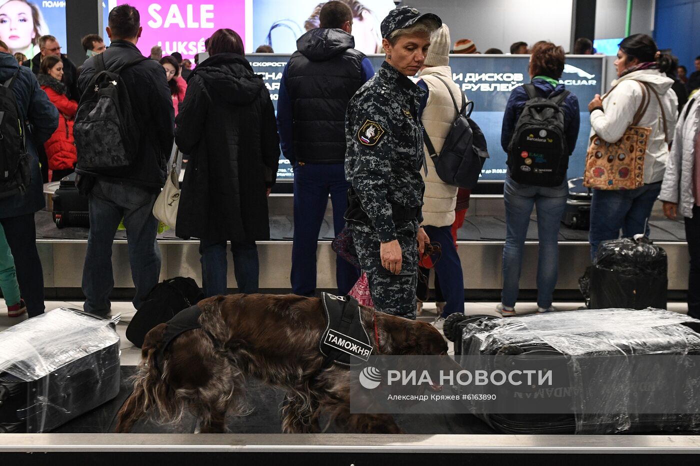 Таможенный досмотр пассажиров в Толмачево