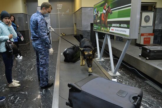 Санитарно-карантинный контроль в аэропорту Челябинска