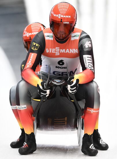 Санный спорт. Чемпионат мира. Двойки