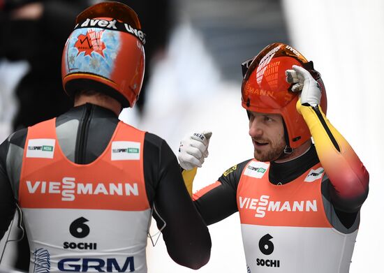 Санный спорт. Чемпионат мира. Двойки