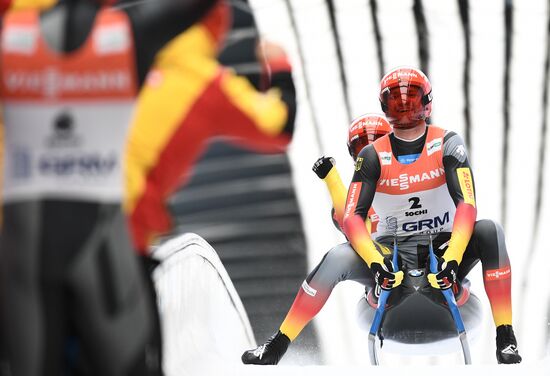 Санный спорт. Чемпионат мира. Двойки