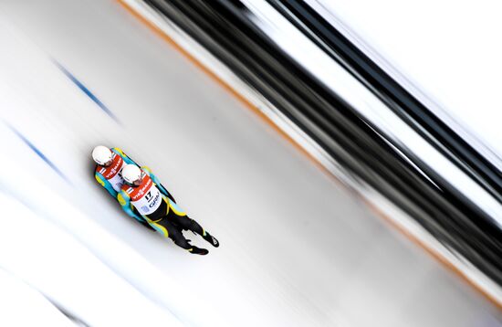 Санный спорт. Чемпионат мира. Двойки