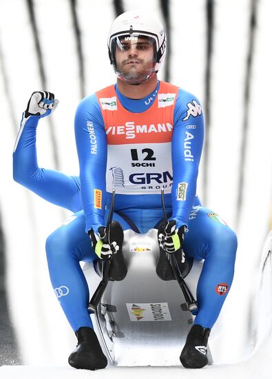 Санный спорт. Чемпионат мира. Двойки