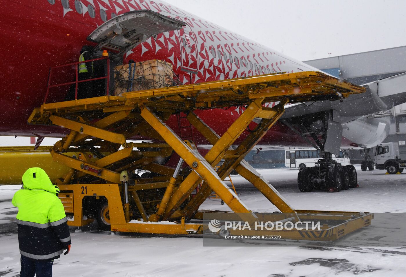 Спасенного дальневосточного леопарда из Приморья отправили в Москву на операцию