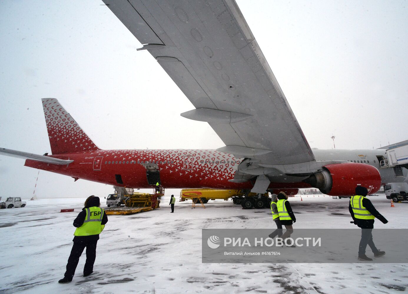 Спасенного дальневосточного леопарда из Приморья отправили в Москву на операцию