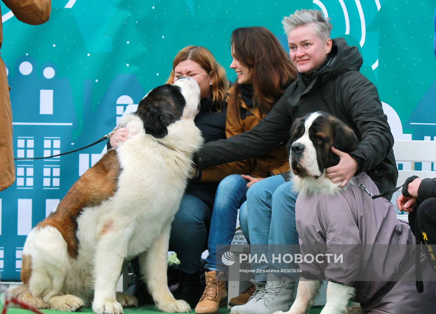 Фестиваль "Мой пес - супергерой!"