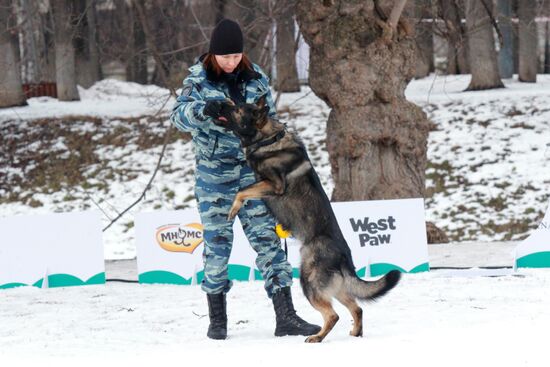 Фестиваль "Мой пес - супергерой!"