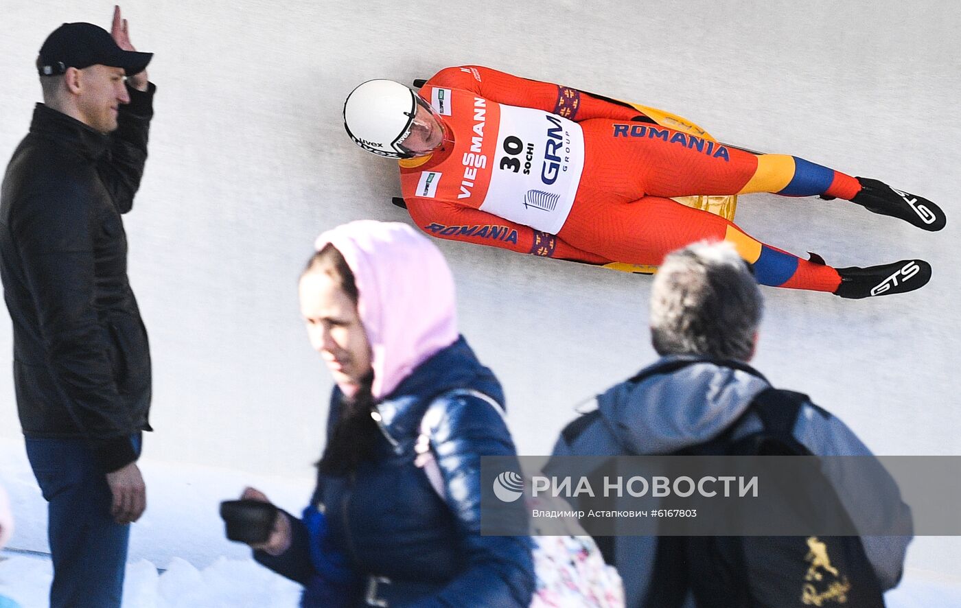 Санный спорт. Чемпионат мира. Мужчины