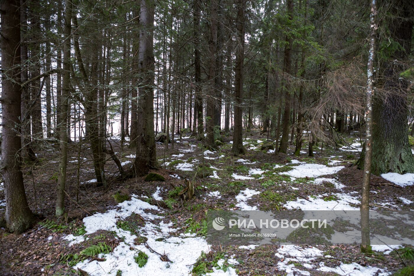 Зима в Карелии