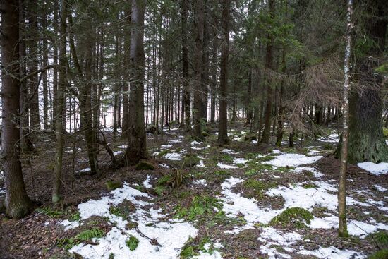 Зима в Карелии