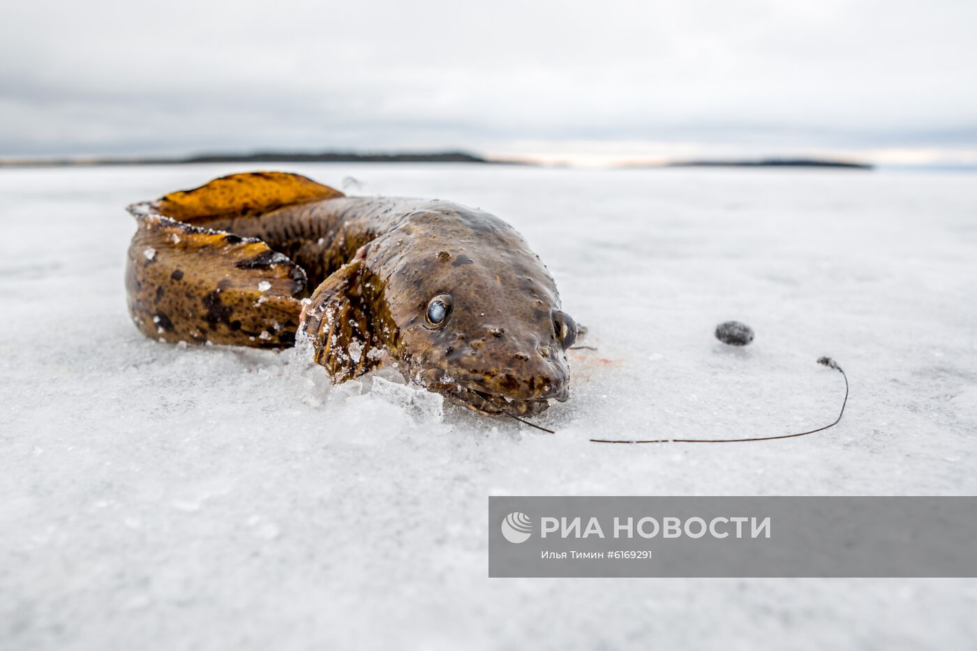 Зима в Карелии