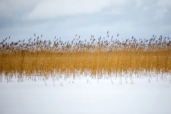 Зима в Карелии