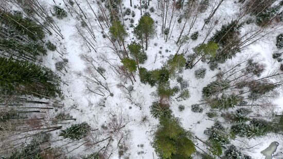 Зима в Карелии