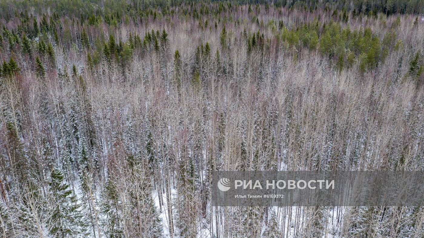 Зима в Карелии