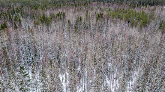 Зима в Карелии