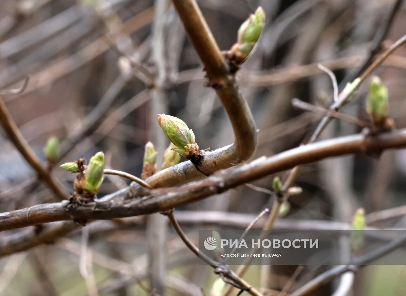 Теплая погода в Москве и Санкт-Петербурге 