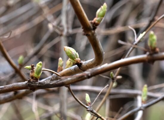 Теплая погода в Москве и Санкт-Петербурге 
