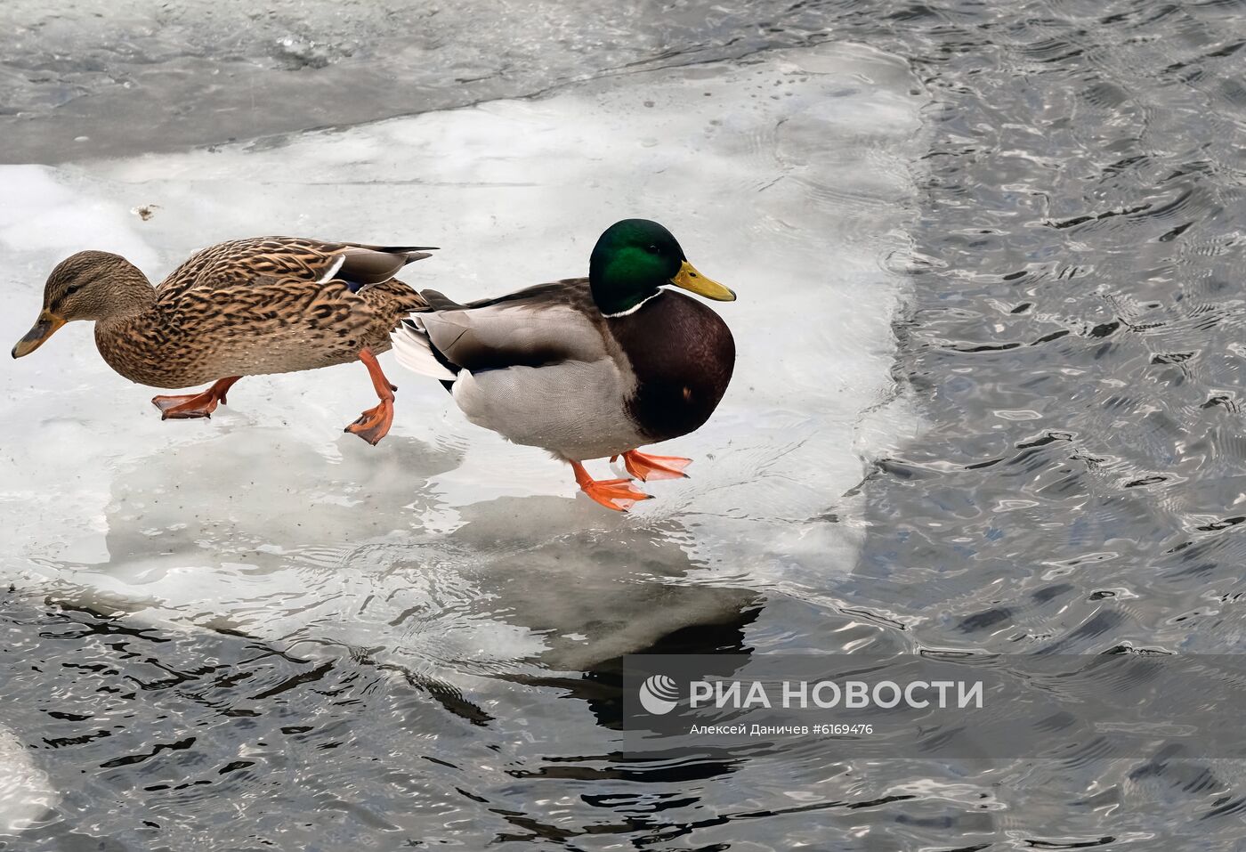 Теплая погода в Москве и Санкт-Петербурге 