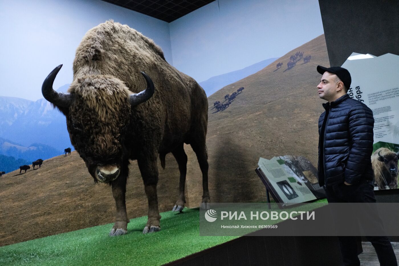 Кавказский заповедник