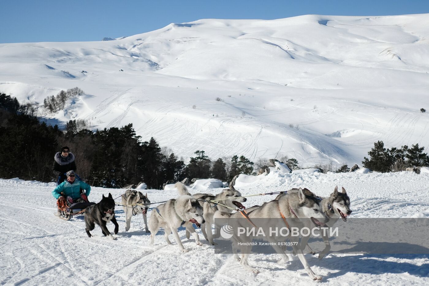 Кавказский заповедник