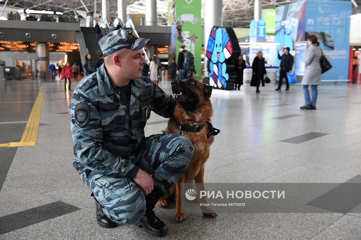 Работа транспортной полиции в аэропорту Внуково