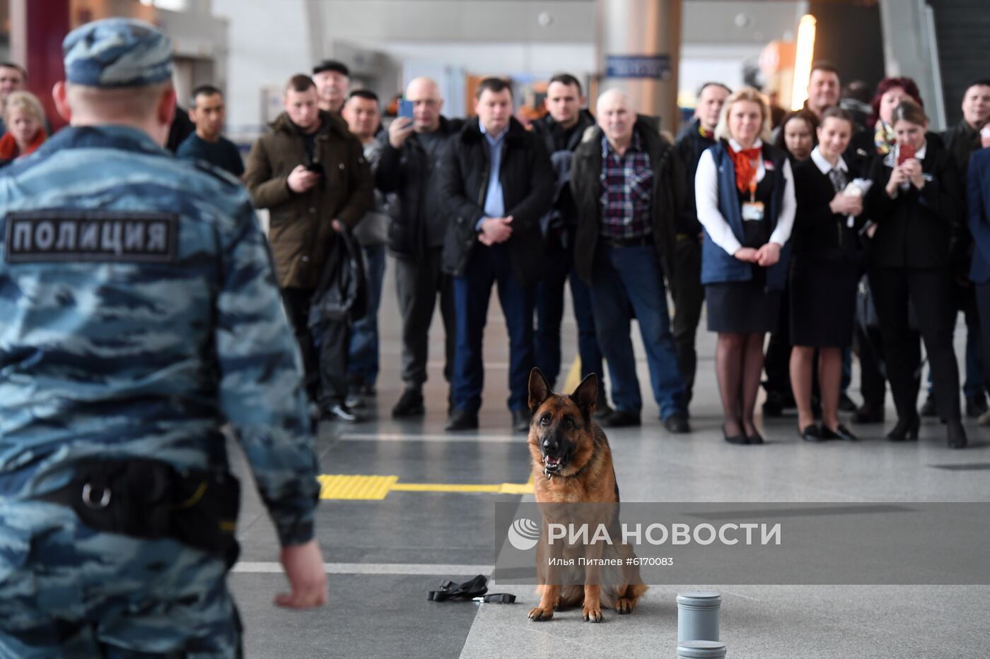 Работа транспортной полиции в аэропорту Внуково