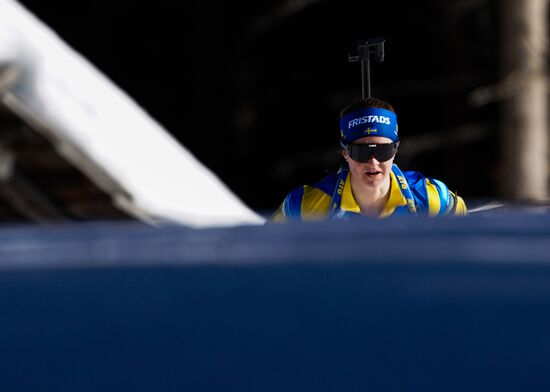 Биатлон. Чемпионат мира. Женщины. Индивидуальная гонка